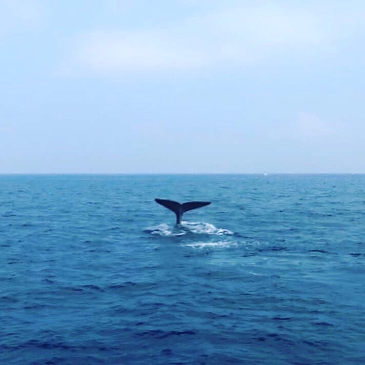 285aa72c-a573-46ca-8bda-5559409f1050